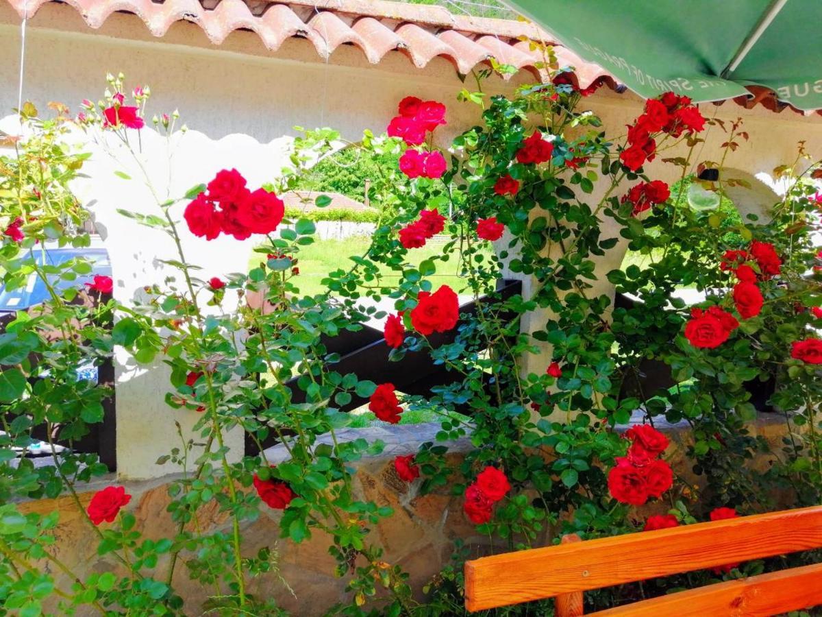 Family Hotel Virgin Ribarica Extérieur photo
